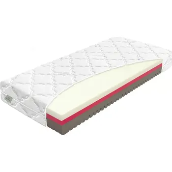 Matrace Matrace Materasso COMFORT Antibacterial 100 x 200 cm potah Eucalyss