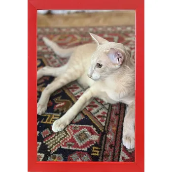 Obraz Rámeček na jednu fotografii Marek i Darek 23 x 15 cm