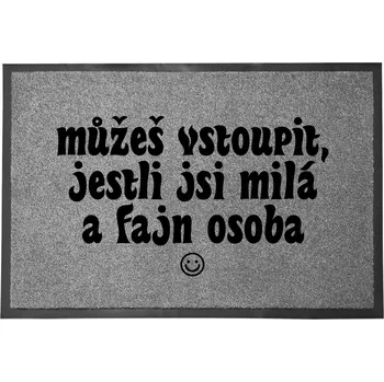 Rohožka Hotová rohožka z plastu, PVC 60 x 40 cm