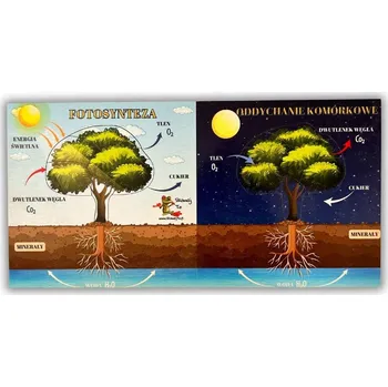 Dřevěná hračka Fotosyntéza stromu, dřevěná skládačka