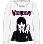 Dívčí tričko dlouhý rukáv Wednesday 5202008 šedý melír