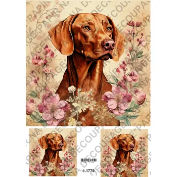 Umělecký papír Rýžový a soft papír na decoupage - Pes Vizsla - KB01779 Materiál: Soft, Rozměr: A4