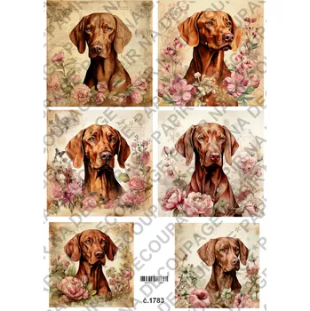 Umělecký papír Rýžový a soft papír na decoupage - Pes Vizsla - KB01783 Materiál: Soft, Rozměr: A4