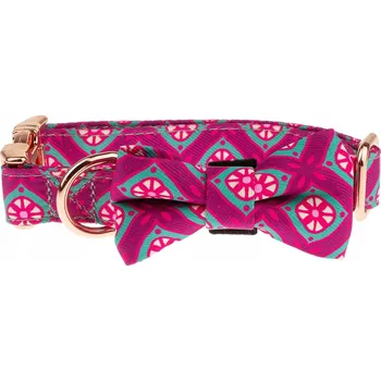 Obojek pro psa Módní obojek pro psa glamour s MAŠLÍ L