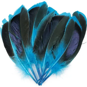 Kachní peří délka 13-15 cm, malé, 3 modrá tyrkys
