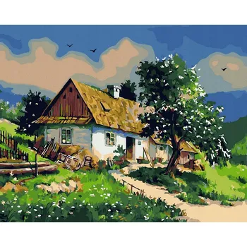 Malování podle čísel iPicasso 40x50 cm na rámu