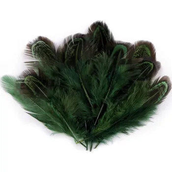Bažantí peří délka 5-7 cm, malé, 6 zelená tmavá