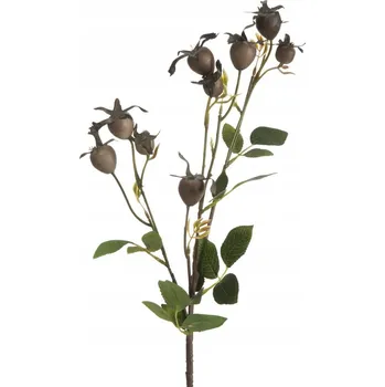 umělá květina Dekorativní Umělá květina 74 cm hnědá větvička Eurofirany