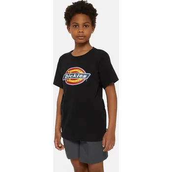 Pánské tričko Dickies YOUTH LOGO TEE BK Velikost: S