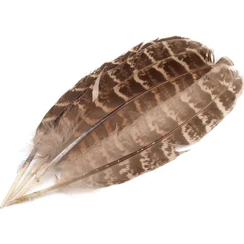 Bažantí peří délka 10-18 cm, malé, hnědá světlá