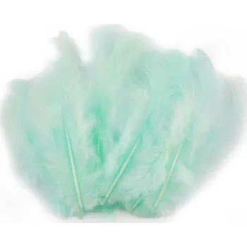 Slepičí peří délka 8-9 cm, malé, 7 mint