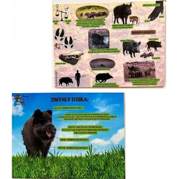 Dřevěná hračka Svět divočáka, dřevěné puzzle, lesní vzdělávání, zajímavosti o divočácích