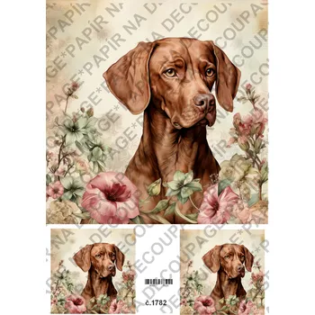 Umělecký papír Rýžový a soft papír na decoupage - Pes Vizsla - KB01782 Materiál: Rýžový papír, Rozměr: A4