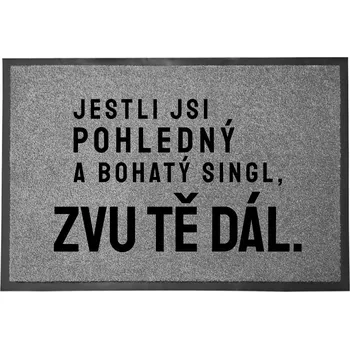 Vstupní rohožka šedá – Pěkná, bohatá, zábavná, dekorativní Dárek