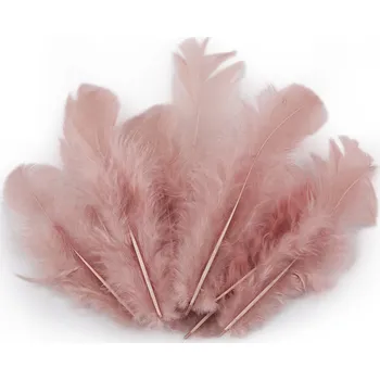 Slepičí peří délka 8-9 cm, malé, 5 starorůžová