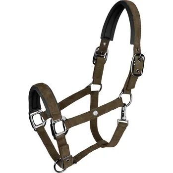 WALDHAUSEN Ohlávka St. Gallen Waldhausen, green brown FULL