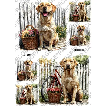 Umělecký papír Rýžový a soft papír na decoupage - Labrador - KB04218 Materiál: Soft, Rozměr: A4