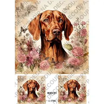 Umělecký papír Rýžový a soft papír na decoupage - Pes Vizsla - KB01780 Materiál: Soft, Rozměr: A4