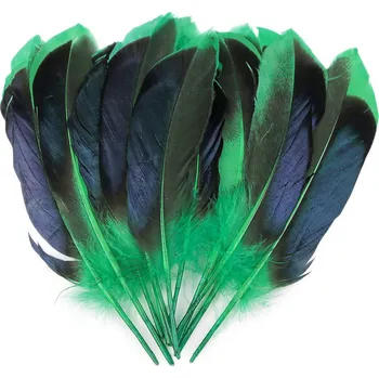 Kachní peří délka 13-15 cm, malé, 2 zelená