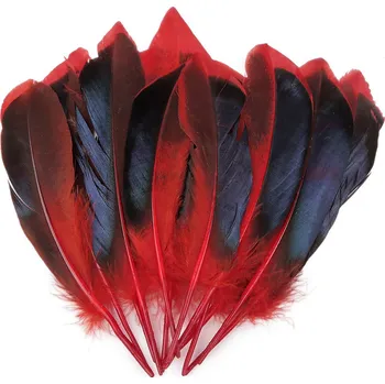 Kachní peří délka 13-15 cm, malé, 1 červená