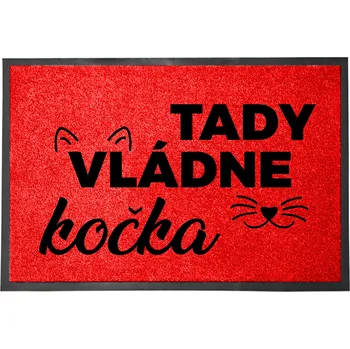 Hotová rohožka z plastu, PVC 60 x 40 cm