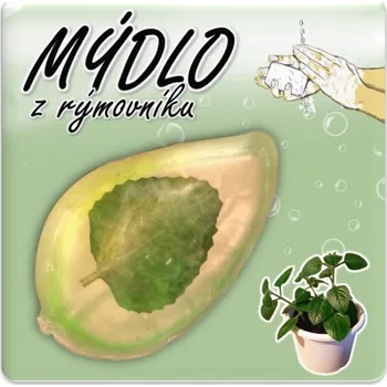Mýdlo z rýmovníku List Dekorace: S lístkem rýmovníku, Sada více kusů: 6 kusů