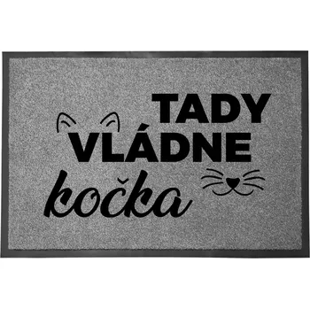 Hotová rohožka z plastu, PVC 60 x 40 cm