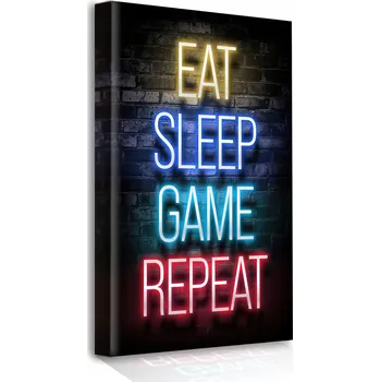 Obraz OBRAZ NA PLÁTNĚ PRO HRÁČE 50x70 DO OBÝVACÍHO POKOJE, LOŽNICE