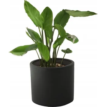 Květináč Keramický květináč černý matný 14 cm Skandi.pl