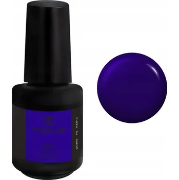 Lak na nehty Didier Lab Builder Gel BBIO Stavební Gel v lahvičce Blueberry, 15 ml
