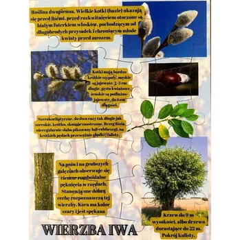 Dřevěná hračka Jíva, dřevěné puzzle, lesní vzdělávání