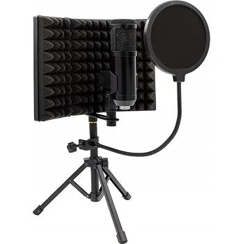 Mikrofon Mikrofon MusicMate MM-400