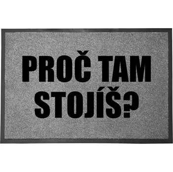 Vstupní rohožka 40x60 cm Šedá PROČ JSI TADY? Vtipný Dárek