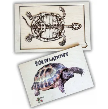 Dřevěná hračka Kostra želvy, dřevěné puzzle, želva Montessori