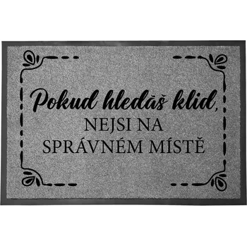 Rohožka Hotová rohožka z plastu, PVC 60 x 40 cm