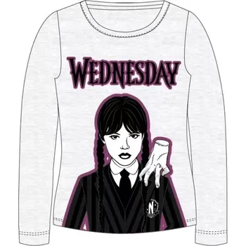Dívčí oblečení Dívčí tričko dlouhý rukáv Wednesday 5202008 šedý melír