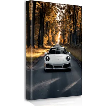 Obraz OBRAZ NA PLÁTNĚ SPORTOVNÍ AUTA 50x70 DO OBÝVACÍHO POKOJE, LOŽNICE