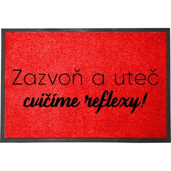 Rohožka Hotová rohožka z plastu, PVC 60 x 40 cm