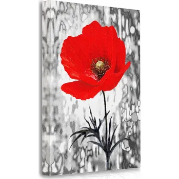 Obraz OBRAZ NA PLÁTNĚ NA ZEĎ Blanco & Rojo 50x70 cm