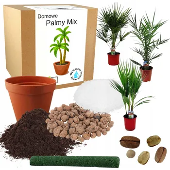 Semeno Sada pro pěstování PALEM - semena palem MIX exotické