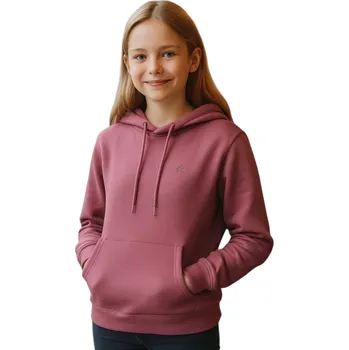 Pánská mikina Dívčí zateplená mikina s kapucí 4F JUNIOR-SWEATSHIRT F1953-4FJWAW25TSWSF1953-50S-DARK VIOLET Fialová 146