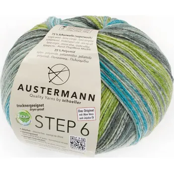 Příze Příze Austermann Step 6 Rainbow 628 liscannor