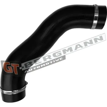 Turbodmychadlo Hadice plnícího vzduchu GT BERGMANN GT52-842
