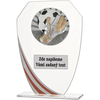 VIZINGR Fotbal brankář sklo W191.08-FG076