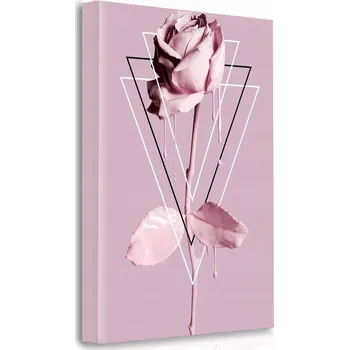 Obraz OBRAZ NA PLÁTNĚ NA ZEĎ Geometricos 50x70 cm