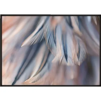 Obraz OBRAZ PLAKÁT V RÁMU 53x73 cm Křídla P672