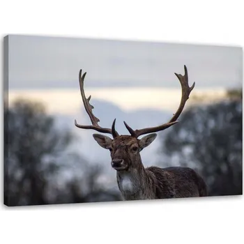 Obraz OBRAZ NA PLÁTNĚ Jelen Zvířata Krajina 60x40