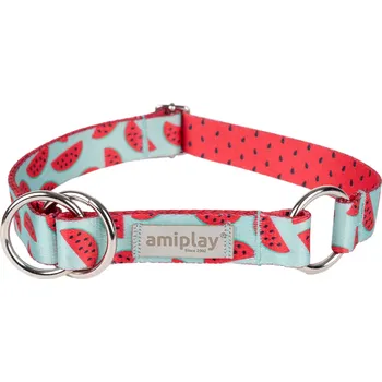 Obojek pro psa Obojek pro psy polostahovací HAPPY WATERMELON velikost M, L, XL Rozměr: M - 26-40x2,0 cm