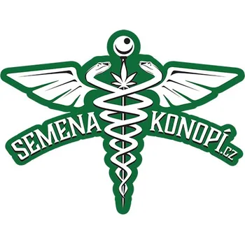 Semeno Semenakonopi.cz Fast Budmaker Počet ks Feminizované: 1