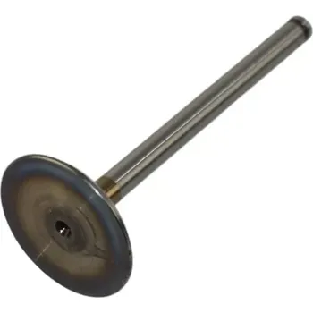 Ventil motoru Sací ventil CITROEN BERLINGO BX XANTIA XSARA ZX - FIAT - PEUGEOT - AE (CITROEN 91535017 91537468 094856 094887 PEUGEOT 0948.56 0948.87)